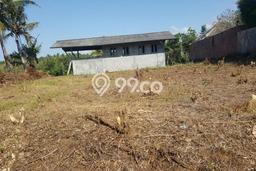 Tanah Kosong Dijual di Gianyar dengan Area 2600m2 Tanah Kosong Dijual di Gianyar dengan Area 2600m2