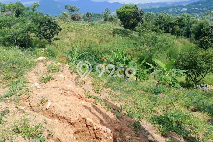 Tanah Dijual di Bogor Seluas 993800m2 Strategis Tanah Dijual di Bogor Seluas 993800m2 Strategis