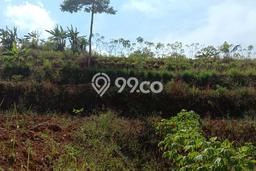 Lahan Investasi Lokasi Cileunyi Bandung SHM Lahan Investasi Lokasi Cileunyi Bandung SHM
