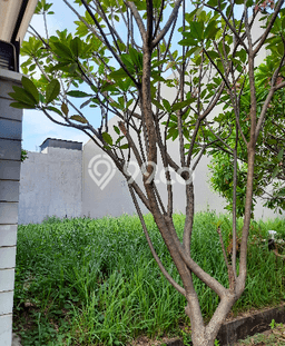 Tanah Dijual di Jakarta Utara Seluas 360m2 Strategis Tanah Dijual di Jakarta Utara Seluas 360m2 Strategis