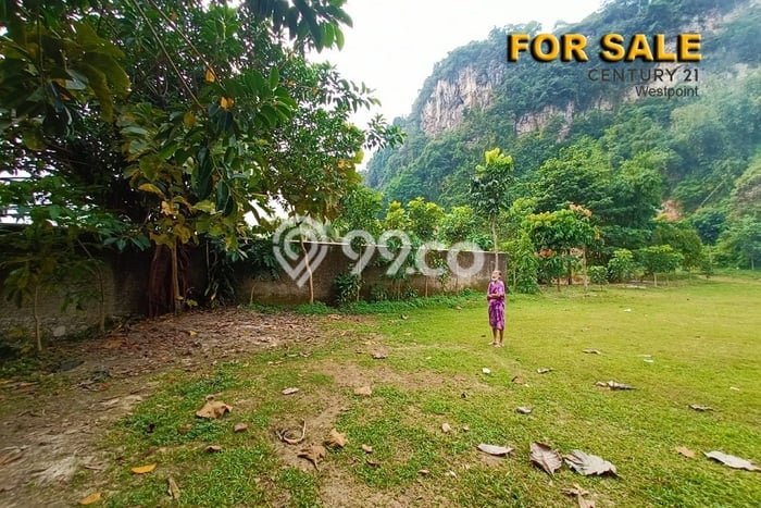 Lahan Kosong Dijual di Bandung Barat dengan Area 3150m2 Lahan Kosong Dijual di Bandung Barat dengan Area 3150m2