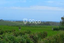 Lahan Kosong Dijual di Kerambitan, Tabanan, Luas 2300m2 Area Strategis Lahan Kosong Dijual di Kerambitan, Tabanan, Luas 2300m2 Area Strategis