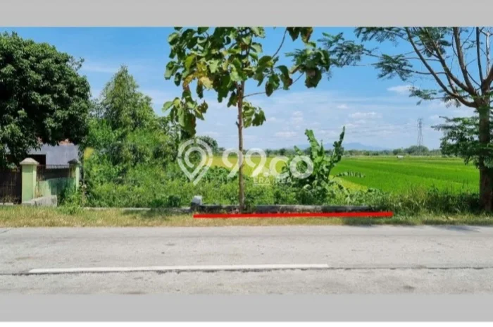 Kavling Tanah Dijual di Wonosari Klaten Spesifikasi 2587m2 Kavling Tanah Dijual di Wonosari Klaten Spesifikasi 2587m2