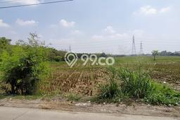 Tanah Kavling untuk Dijual di Ciruas Serang 14500m2 Tanah Kavling untuk Dijual di Ciruas Serang 14500m2