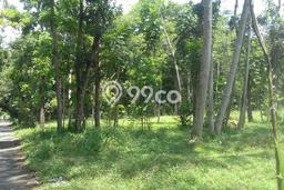 Lahan Dijual Lokasi Ngaglik, Sleman dengan Luas Tanah 1400m2 dan Status SHM Lahan Dijual Lokasi Ngaglik, Sleman dengan Luas Tanah 1400m2 dan Status SHM