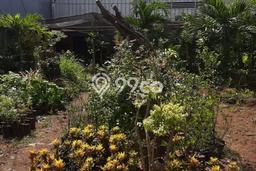 Kavling Tanah Dijual di Kembangan, Jakarta Barat, Luas 210m2 Area Strategis Kavling Tanah Dijual di Kembangan, Jakarta Barat, Luas 210m2 Area Strategis