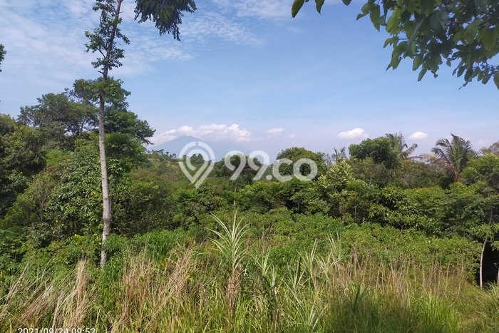 Kavling Tanah untuk Dijual di Sentul City, Bogor, Luas 8190m2 Kavling Tanah untuk Dijual di Sentul City, Bogor, Luas 8190m2