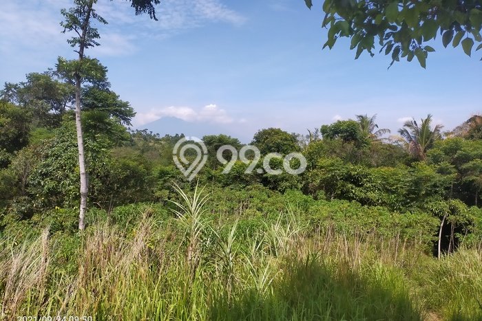 Kavling Tanah untuk Dijual di Sentul City, Bogor, Luas 8190m2 Kavling Tanah untuk Dijual di Sentul City, Bogor, Luas 8190m2