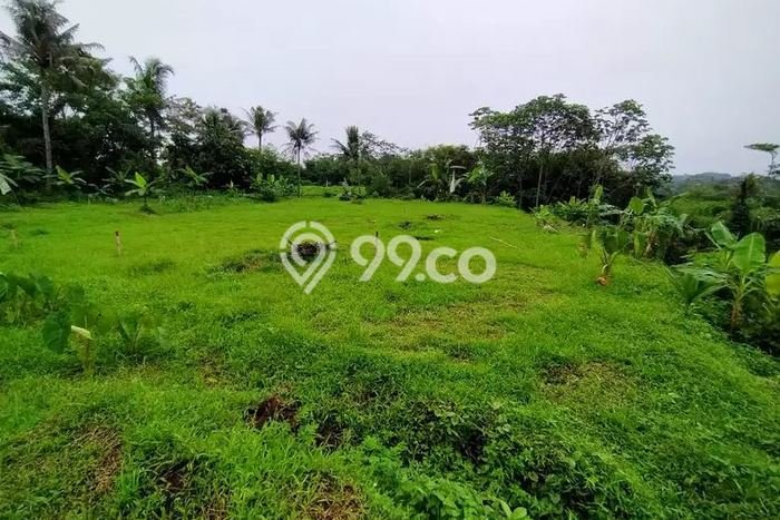 Dijual Tanah 9601m2 di Margajaya, Bogor Dijual Tanah 9601m2 di Margajaya, Bogor