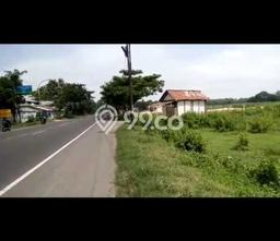 Jarang Ada! Tanah di Tuban Punya Luas 22220m2 SHM Jarang Ada! Tanah di Tuban Punya Luas 22220m2 SHM