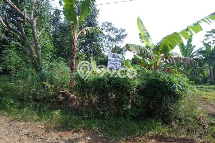 Tanah Kavling untuk Dijual di Pandeglang Pandeglang 11787m2 Tanah Kavling untuk Dijual di Pandeglang Pandeglang 11787m2