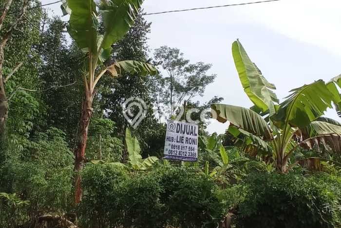Tanah Kavling untuk Dijual di Pandeglang Pandeglang 11787m2 Tanah Kavling untuk Dijual di Pandeglang Pandeglang 11787m2