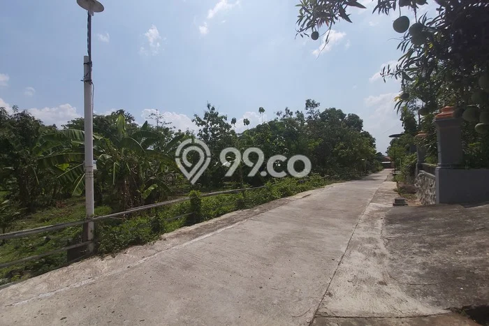 Jarang Ada! Tanah di Tawangsari Punya Luas 547m2 SHM Jarang Ada! Tanah di Tawangsari Punya Luas 547m2 SHM