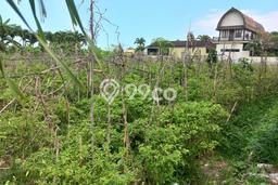 Tanah Kawasan Tanah Lot, Luas 900m², Area Potensial, Lingkungan Nyaman, Bebas Banjir Tanah Kawasan Tanah Lot, Luas 900m², Area Potensial, Lingkungan Nyaman, Bebas Banjir