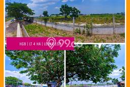 AREA PROSPEKTIF! Tanah di , Luas 40000m2m², Akses Fasilitas Umum AREA PROSPEKTIF! Tanah di , Luas 40000m2m², Akses Fasilitas Umum