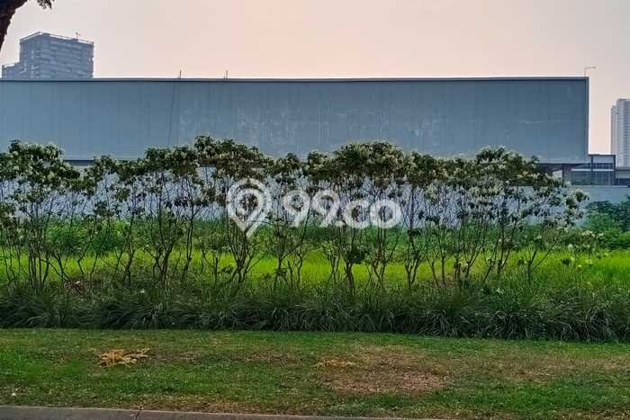 Kavling Tanah Disewakan di Alam Sutera Tangerang Luas 3600m2 Strategis Kavling Tanah Disewakan di Alam Sutera Tangerang Luas 3600m2 Strategis