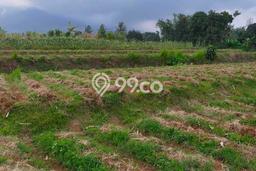 Lahan untuk Dijual di Cigombong Bogor Luas 3600m2 Lahan untuk Dijual di Cigombong Bogor Luas 3600m2