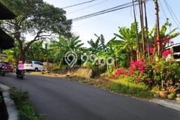 Untuk Dijual Tanah di Ngaliyan Semarang Luas 1665m2 SHM Untuk Dijual Tanah di Ngaliyan Semarang Luas 1665m2 SHM