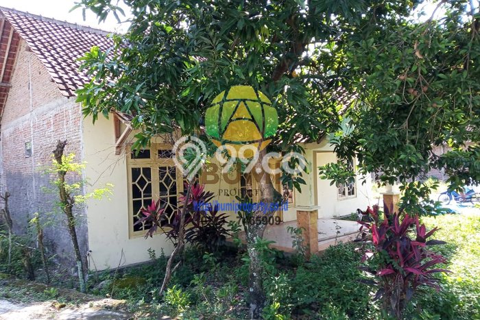Tanah Dijual Lokasi Ngemplak, Boyolali Luas 1200m2 Legalitas Aman Tanah Dijual Lokasi Ngemplak, Boyolali Luas 1200m2 Legalitas Aman