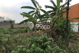 Kavling Tanah Dijual di Mantup Lamongan Spesifikasi 30000m2 Kavling Tanah Dijual di Mantup Lamongan Spesifikasi 30000m2