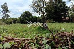 Tanah Dijual Lokasi Cibungbulang Bogor SHM Tanah Dijual Lokasi Cibungbulang Bogor SHM