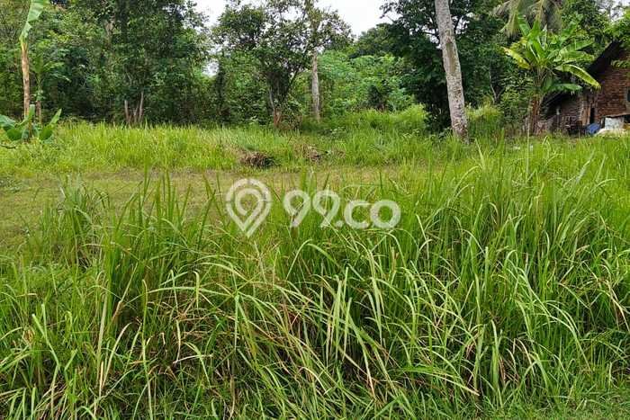 Tanah Dijual Lokasi Cipocok Jaya, Serang Luas 1430m2 Legalitas Aman Tanah Dijual Lokasi Cipocok Jaya, Serang Luas 1430m2 Legalitas Aman