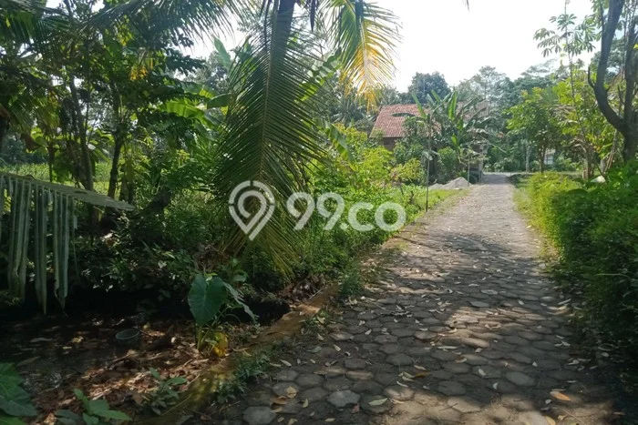 Lahan Investasi Lokasi Sleman Sleman SHM Lahan Investasi Lokasi Sleman Sleman SHM