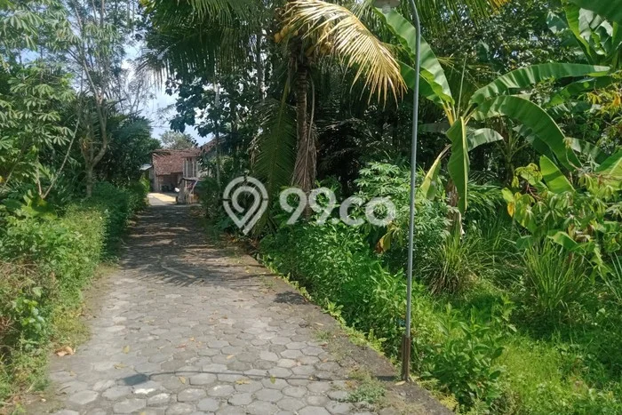 Lahan Investasi Lokasi Sleman Sleman SHM Lahan Investasi Lokasi Sleman Sleman SHM