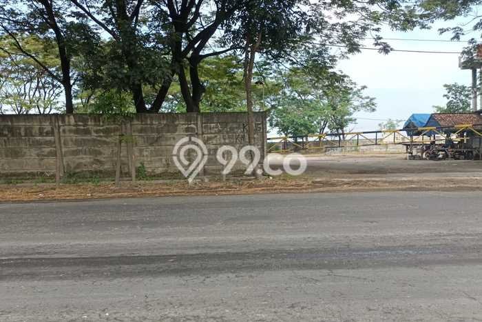 Dijual Tanah di Widang Tuban Luas 40000m2 SHM Dijual Tanah di Widang Tuban Luas 40000m2 SHM