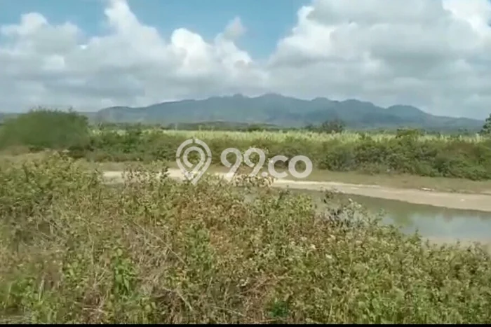 Jarang Ada! Tanah di Bancar Punya Luas 200000m2 SHM Jarang Ada! Tanah di Bancar Punya Luas 200000m2 SHM