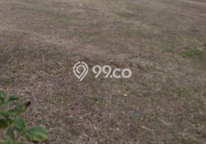 Tanah Strategis Dijual di Bancar Tuban 40000m2 Tanah Strategis Dijual di Bancar Tuban 40000m2
