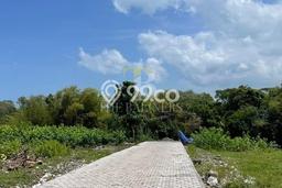 Tanah Siap Bangun Dijual di Badung Punya Luas 400m2 Tanah Siap Bangun Dijual di Badung Punya Luas 400m2