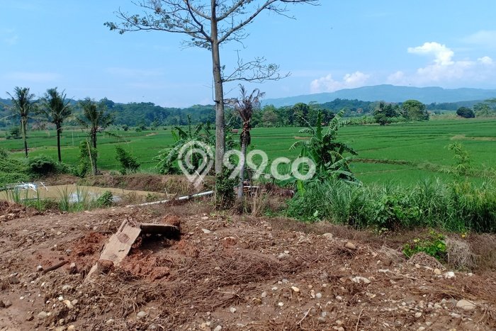 Kavling Tanah di Kalijati Dijual Luas 10000m2 Legalitas AJB Kavling Tanah di Kalijati Dijual Luas 10000m2 Legalitas AJB