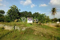 Tanah Komersial Dijual di Bojonegara Serang 150m2 Tanah Komersial Dijual di Bojonegara Serang 150m2