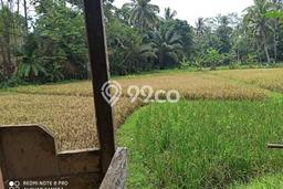 Tanah Komersial Dijual di Pandeglang Pandeglang 866m2 Tanah Komersial Dijual di Pandeglang Pandeglang 866m2