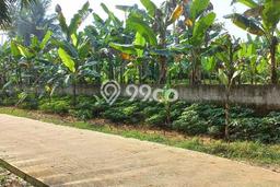 Tanah Kavling di Ranca Bungur Dijual dengan Luas 137m2 Tanah Kavling di Ranca Bungur Dijual dengan Luas 137m2