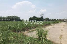 Kavling Tanah di Perak Dijual Luas 7000m2 Legalitas - Kavling Tanah di Perak Dijual Luas 7000m2 Legalitas -