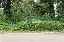 Kavling Tanah Dijual di Tengaran, Semarang, Luas 2120m2 Area Strategis Kavling Tanah Dijual di Tengaran, Semarang, Luas 2120m2 Area Strategis