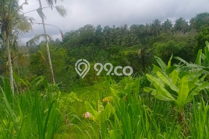 Dijual Tanah di Payangan Gianyar Luas 20200m2 SHM Dijual Tanah di Payangan Gianyar Luas 20200m2 SHM