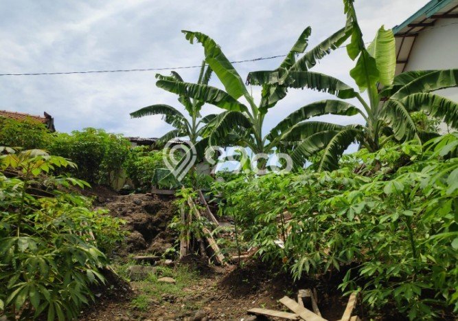 Kavling Tanah Dijual di Candisari Semarang Spesifikasi 160m2 Kavling Tanah Dijual di Candisari Semarang Spesifikasi 160m2