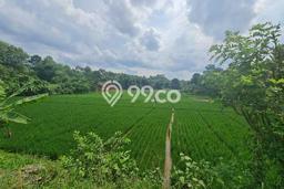 Lahan untuk Dijual Lokasi Kalijati, Subang Luas 1e+06m2 SHM Lahan untuk Dijual Lokasi Kalijati, Subang Luas 1e+06m2 SHM