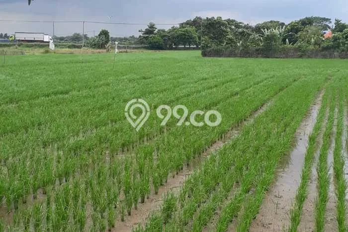 Lahan Strategis di Karawang Timur Dijual dengan Luas 45000m2 Lahan Strategis di Karawang Timur Dijual dengan Luas 45000m2