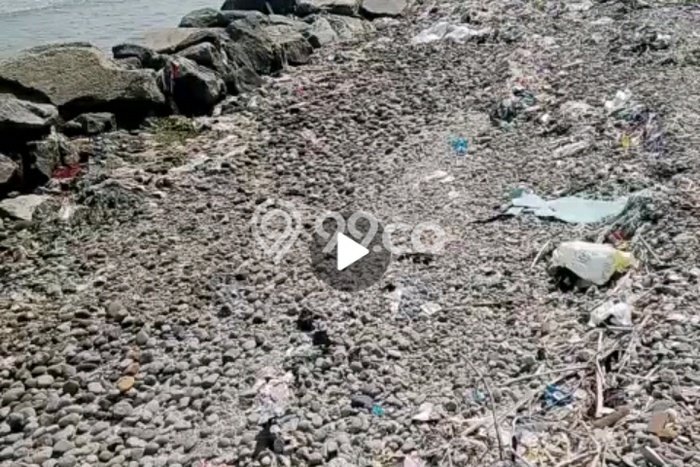 Tanah Kosong Dijual di Rembang dengan Area 27200m2 Tanah Kosong Dijual di Rembang dengan Area 27200m2