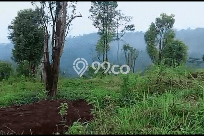 Tanah Dijual Lokasi Sukorejo, Kendal Luas 174000m2 Legalitas Aman Tanah Dijual Lokasi Sukorejo, Kendal Luas 174000m2 Legalitas Aman