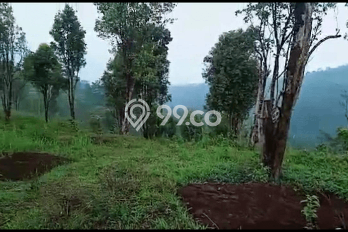 Tanah Dijual Lokasi Sukorejo, Kendal Luas 174000m2 Legalitas Aman Tanah Dijual Lokasi Sukorejo, Kendal Luas 174000m2 Legalitas Aman