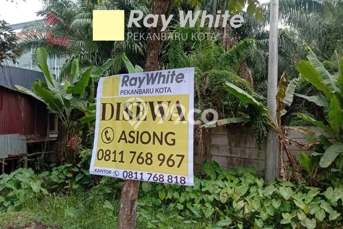 Tanah untuk Disewakan di Payung Sekaki Pekanbaru SHM Tanah untuk Disewakan di Payung Sekaki Pekanbaru SHM