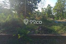 Lahan Strategis di Sentolo Dijual dengan Luas 697m2 Lahan Strategis di Sentolo Dijual dengan Luas 697m2