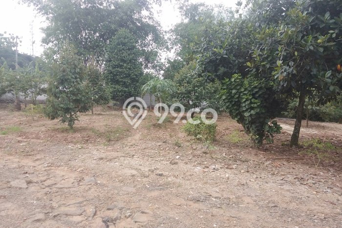 Lahan Investasi Lokasi Jawilan Serang SHM Lahan Investasi Lokasi Jawilan Serang SHM
