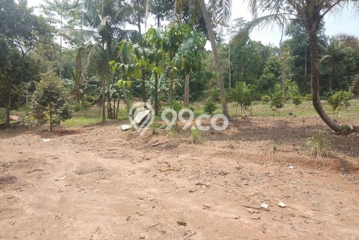 Lahan Investasi Lokasi Jawilan Serang SHM Lahan Investasi Lokasi Jawilan Serang SHM