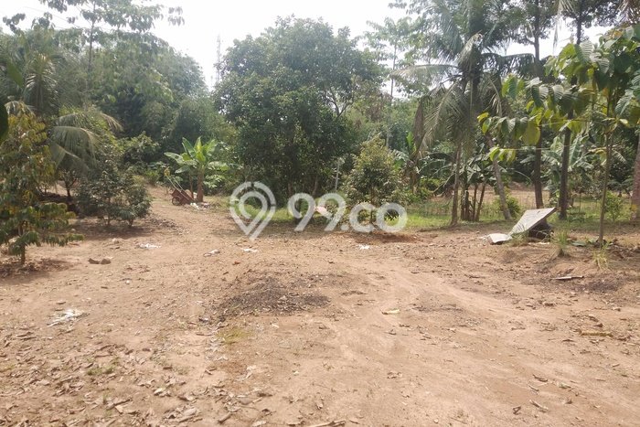 Lahan Investasi Lokasi Jawilan Serang SHM Lahan Investasi Lokasi Jawilan Serang SHM